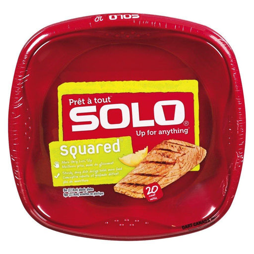 SOLO ASSIETTES EN PLASTIQUES 9 PO  20 UN
