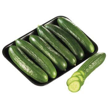 LEBANESE CUCUMBER 6 PACK