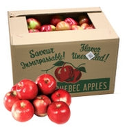 MCINTOSH APPLE CASE