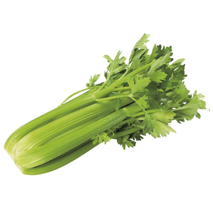 CELERI 1 UN