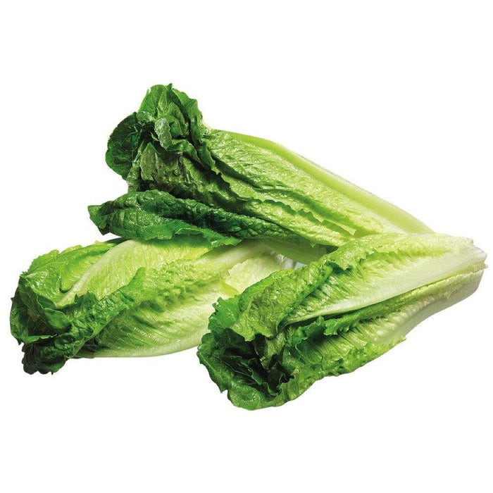 COEUR DE ROMAINE 1 UN
