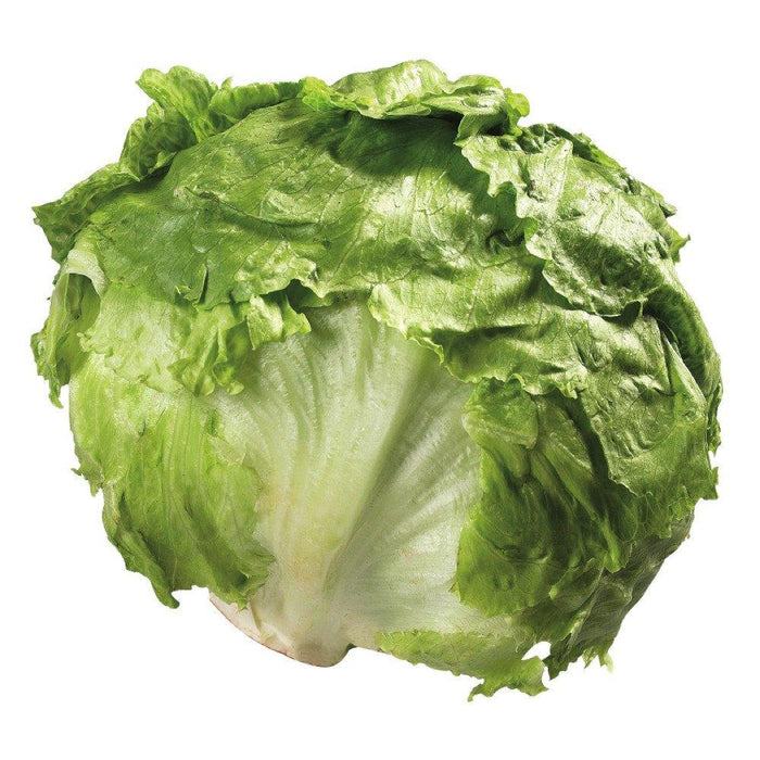 LAITUE ICEBERG 1 UN