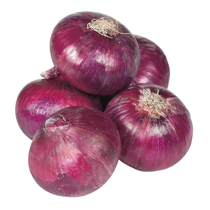 OIGNON ROUGE 1 LB