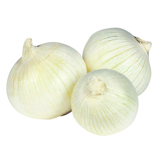 OIGNON BLANC 1 LB
