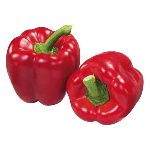 PIMENT ROUGE 1 LB