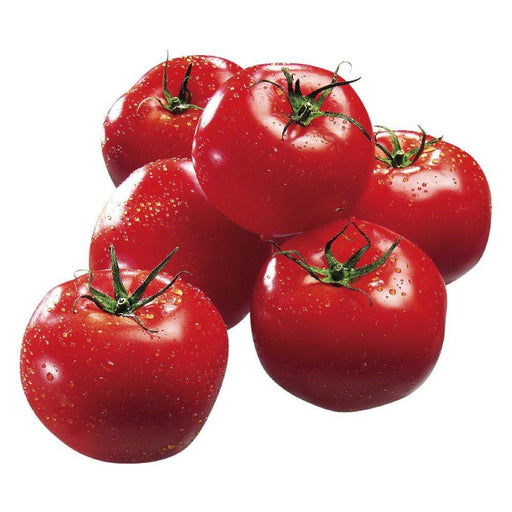 TOMATE 1 LB