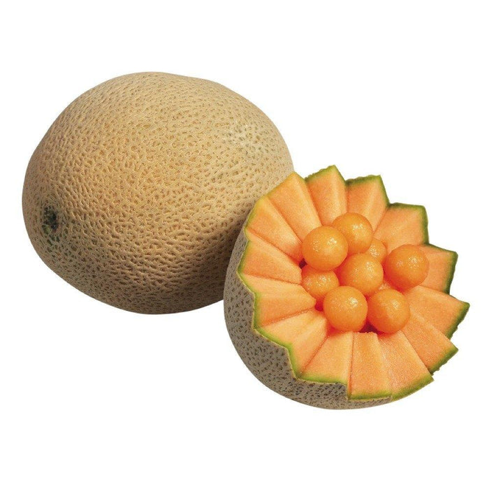 CANTALOUPE