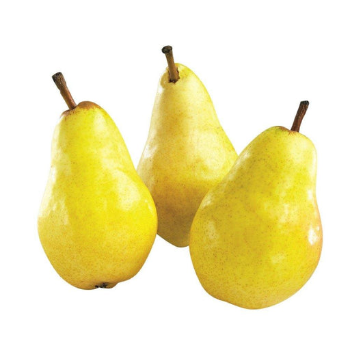 BARTLETT PEAR