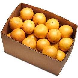 GRAPEFRUIT CASE (~56 UNITS)