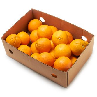 ORANGES LARGE CASE (56 UNITS)