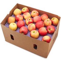 APPLE GALA CASE (~100-133 UNITS)