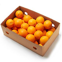 ORANGES SMALL CASE (~88-113)