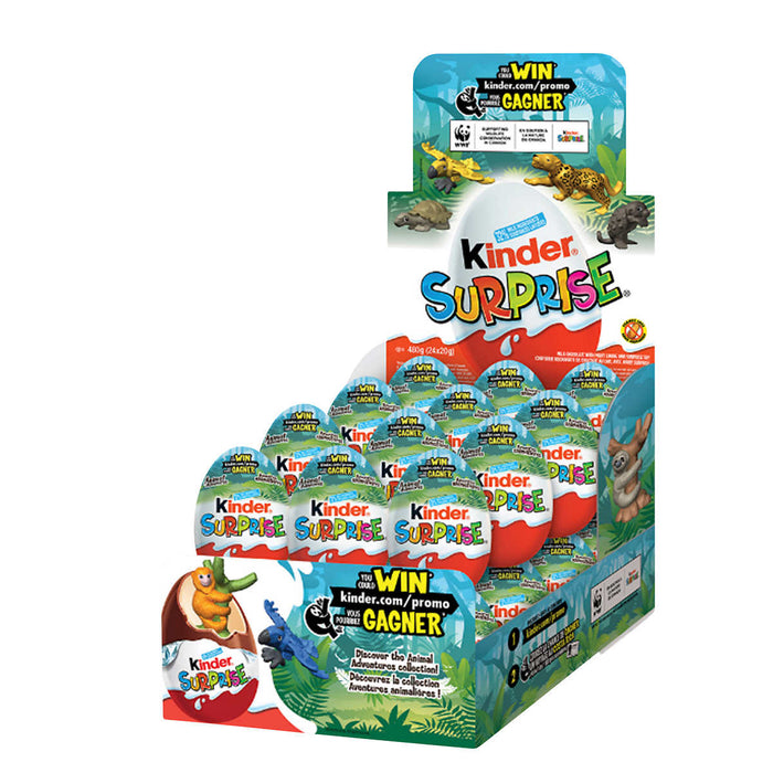 ŒUFS EN CHOCOLAT KINDER SURPRISE, 24 X 20G