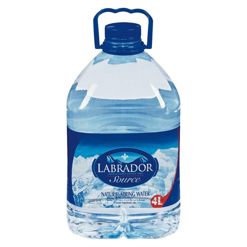 LABRADOR NATURAL SPRING WATER 4 L — Nuvo Express